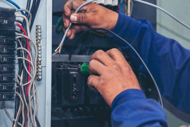 Best Electrical Rewiring Services  in Vicksburg, MI