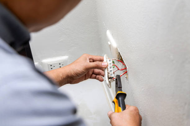 Best Home Electrical Repair  in Vicksburg, MI